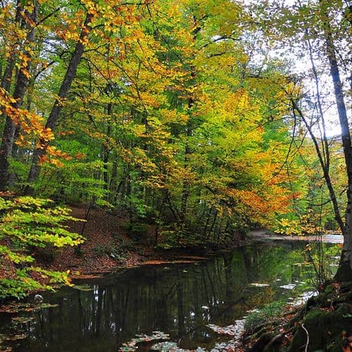 耶迪哥勒國家公園Bolu