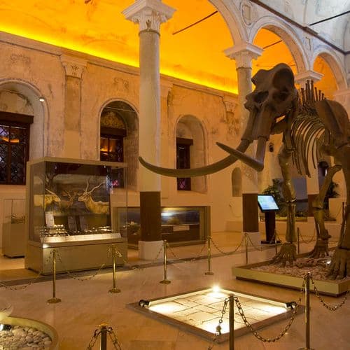 Burdur Natural History Museum