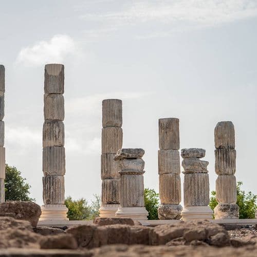 Apollon Smintheion Ruins