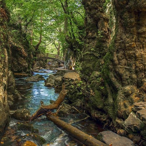 Ayazma Spring Nature Park