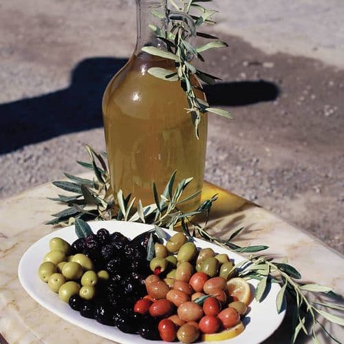 Çanakkale Olive Cultivation