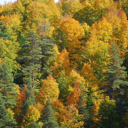 Плато Карги