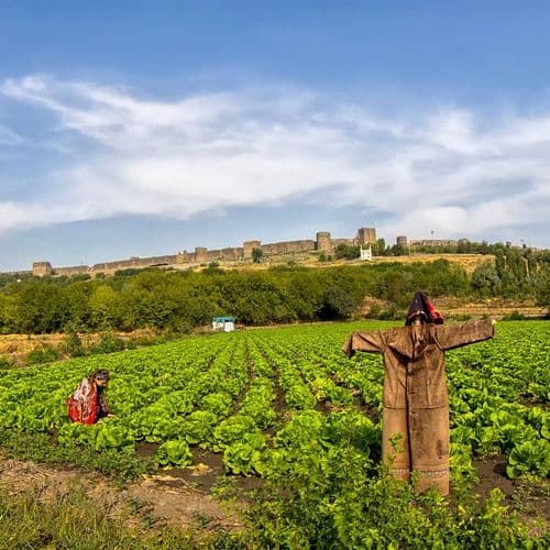 Hevsel(海乌塞尔) Bahçeleri (花园)