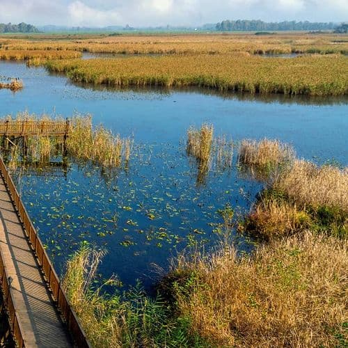 بحيرة أفتني