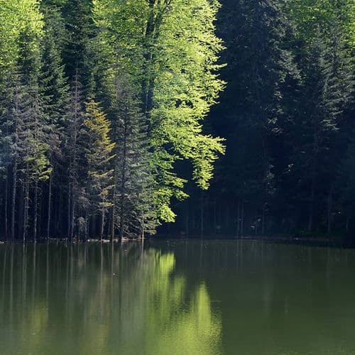 هضبة وبحيرة طوركول