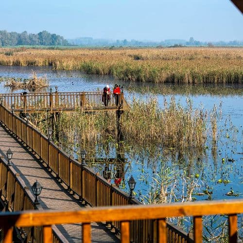 بحيرة أفتني