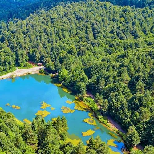 بحيرة دبسيز غول