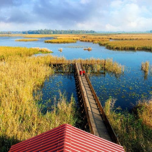 بحيرة أفتني