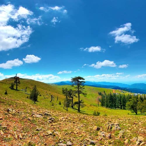 هضبة كور دوز