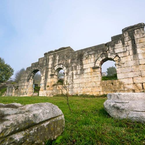 متحف كونور ألب