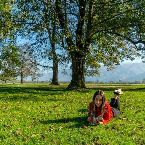 الحديقة الثقافية