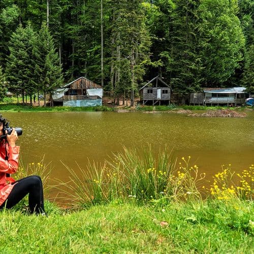 هضبة بورنلي