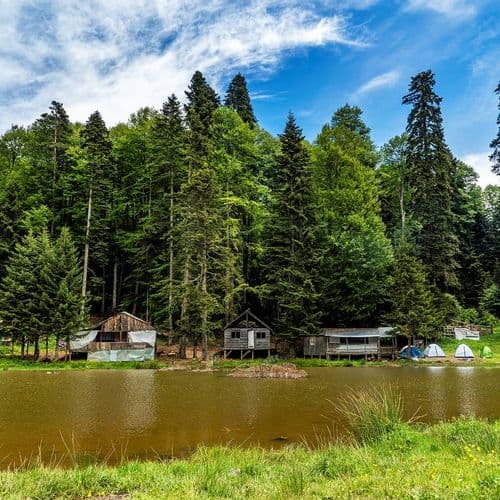 هضبة بورنلي