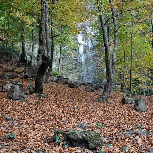 شلال صقلي كنت