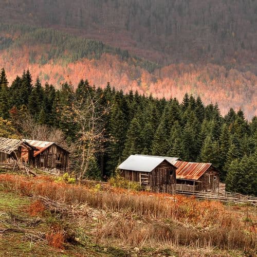 هضبة وبحيرة طوركول