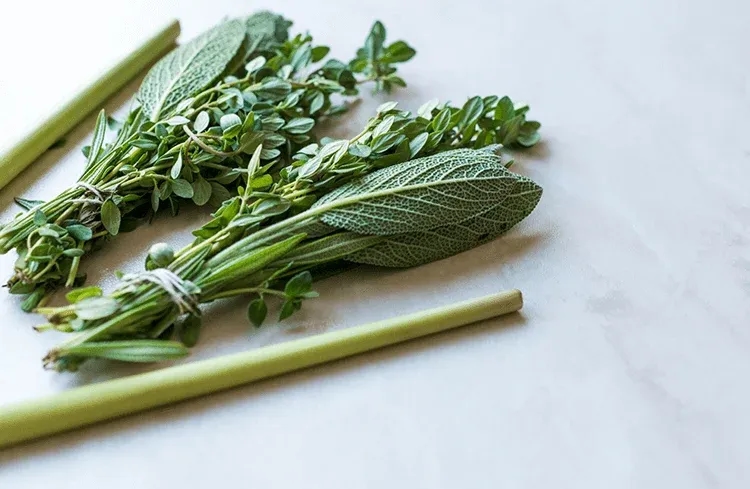 Aegean Herbs in Turkish Cuisine