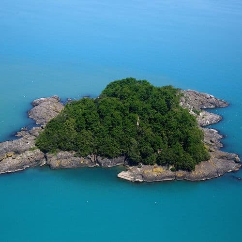 Giresun Island Aretias