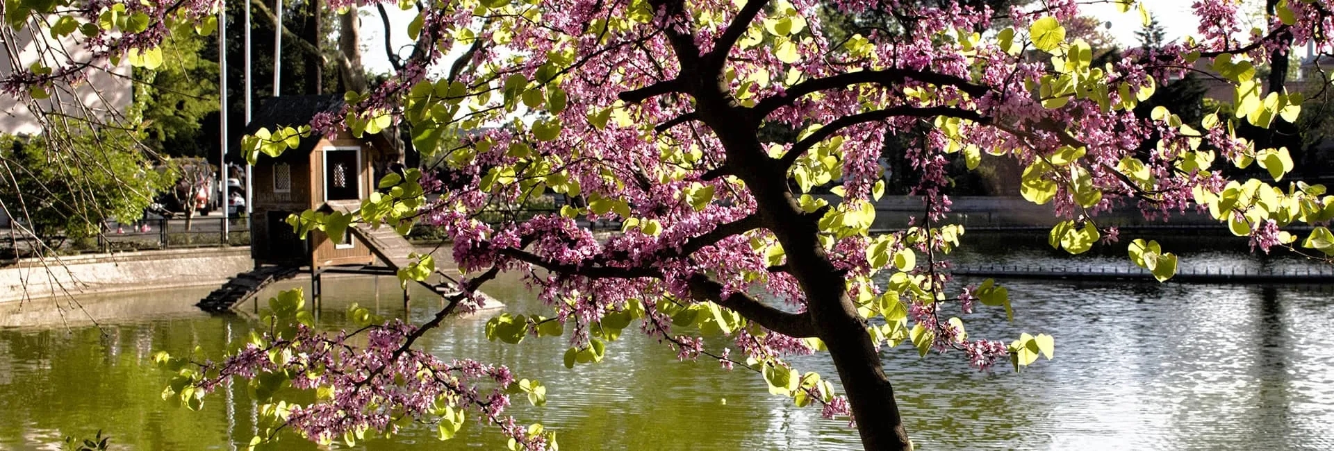 The Most Beautiful Parks & Gardens in İstanbul