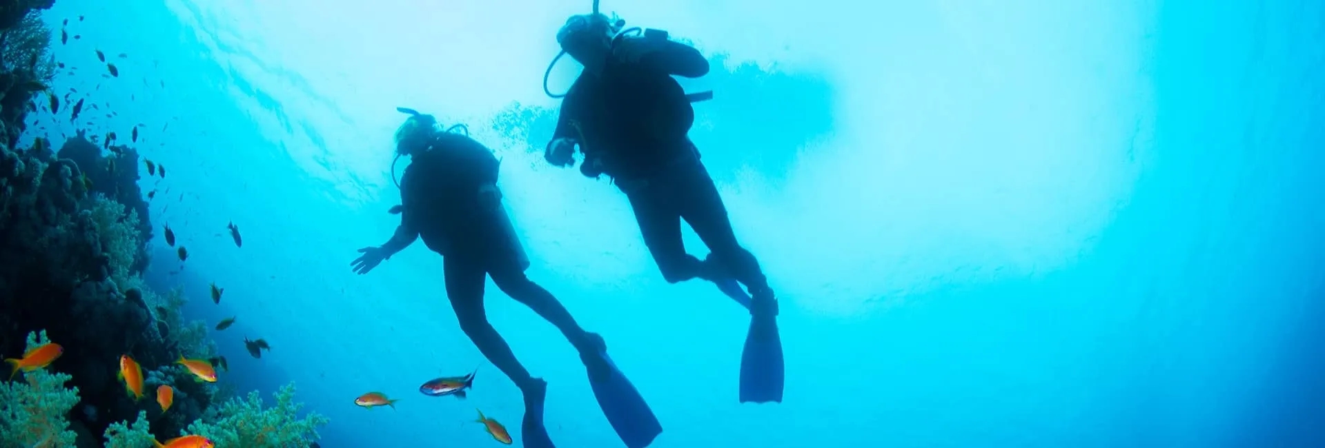 Top 10 Diving Destinations in Türkiye