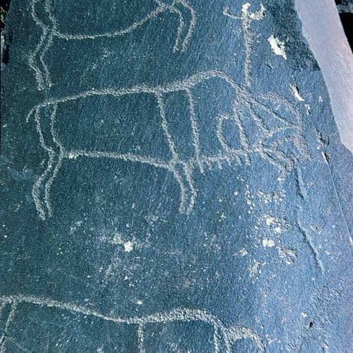 Peintures Rupestes