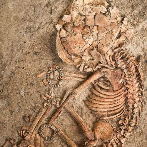 Çatalhöyük, Konya