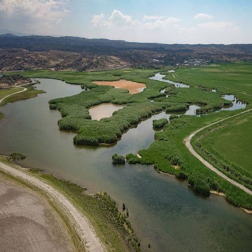 Karasu Bird Sanctuary