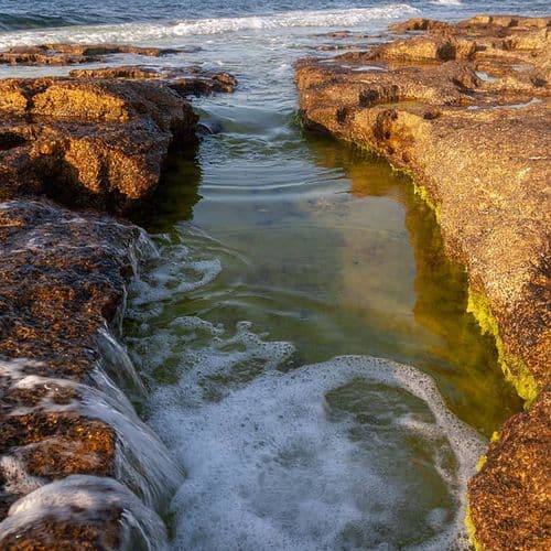 Kefken Adası, Kocaeli