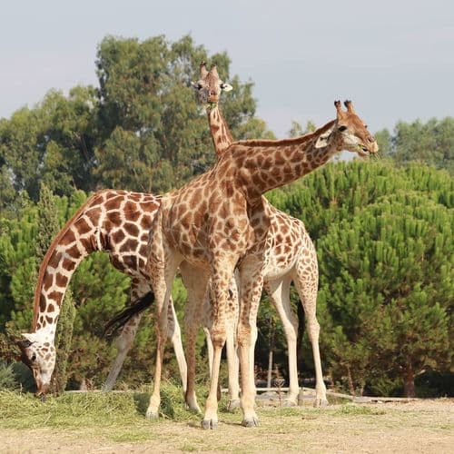 The Natural Life Park