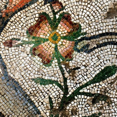 Germanicia Mosaic Field Archaeological Site