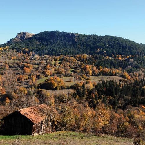 Küre Mountains National Park