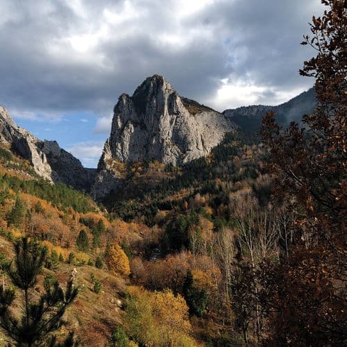 Küre Mountains National Park