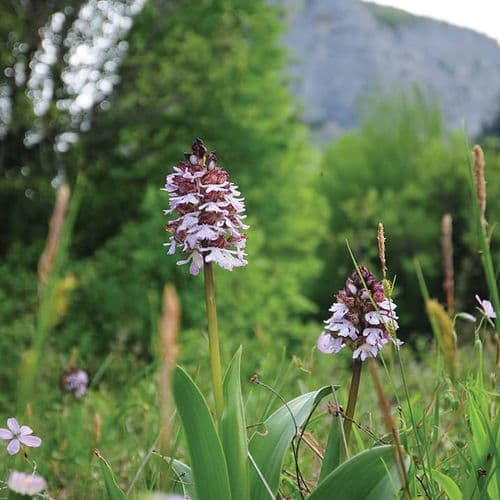 Ersizlerdere Kanyonu