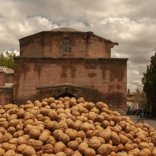 Кайсерійський волоський горіх