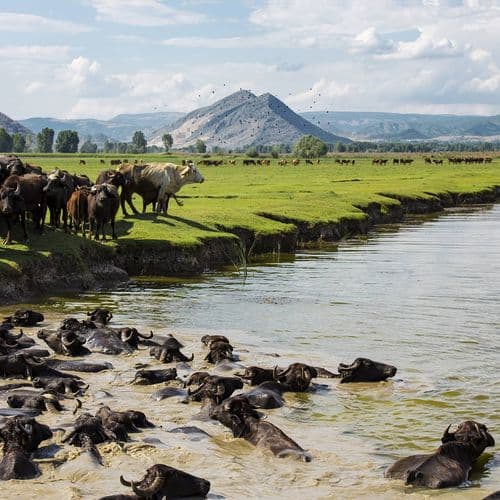Kaz Lake Wildlife Development Area