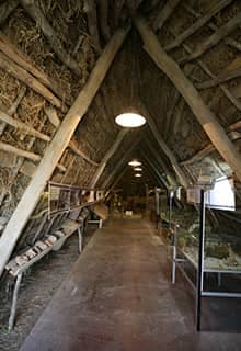 Aşağı Pınar Neolithic Period Exhibition