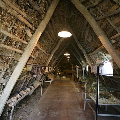 Aşağı Pınar Neolithic Period Exhibition