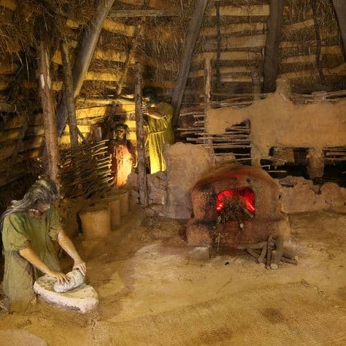 Aşağı Pınar Neolithic Period Exhibition