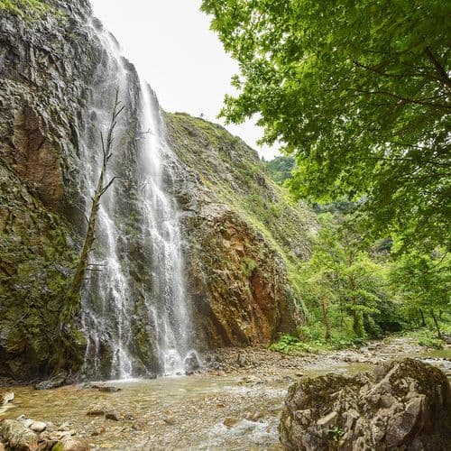 Forest and Nature Parks