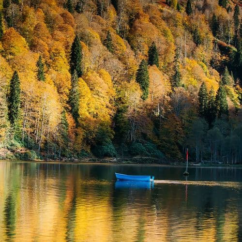 Artvin(阿尔特温)Borçka Karagöl (卡拉湖)