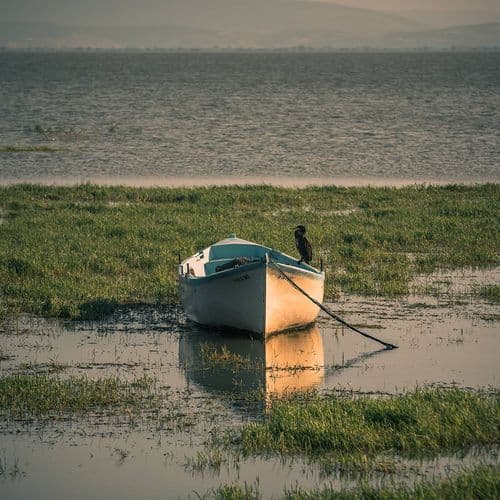 بحيرة مانياس