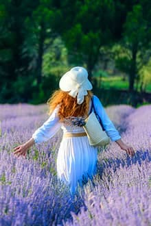 Seferihisar Lavender Field