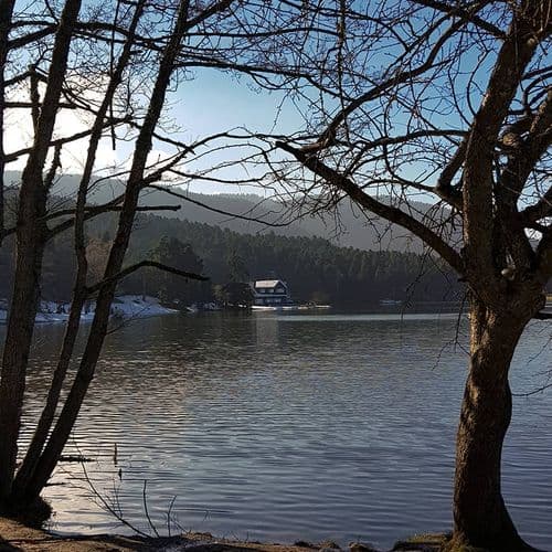 حديقة غولجوك، بولو