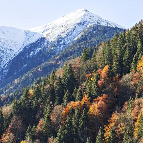 حديقة جبل كاجكار الوطنية، ريزة