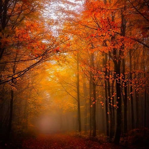 حديقة البحيرات السبع، بولو