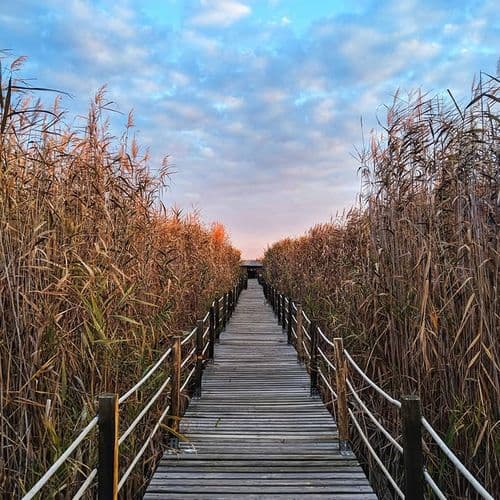Parc National de Sultansazligi Kayseri