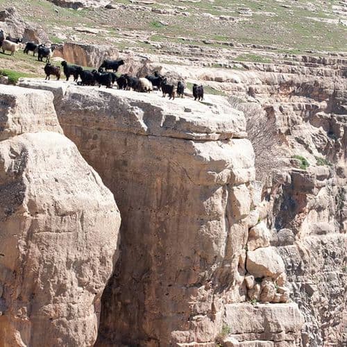 Parc National de la Vallée de Botan Siirt