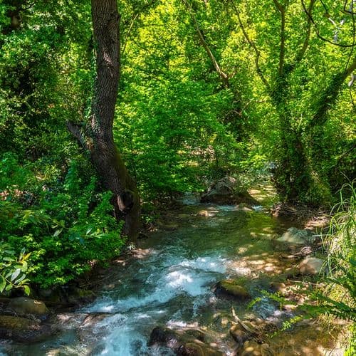 Marmaris-Nationalpark