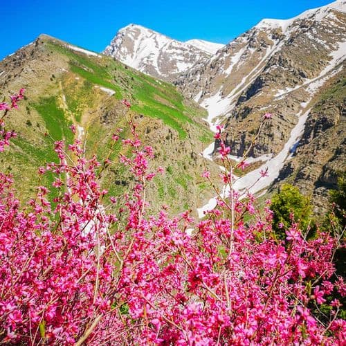 Cilo Nationalpark Hakkari