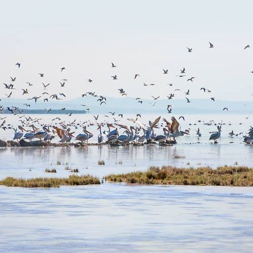 Parc National du Paradis des Oiseaux Balikesir