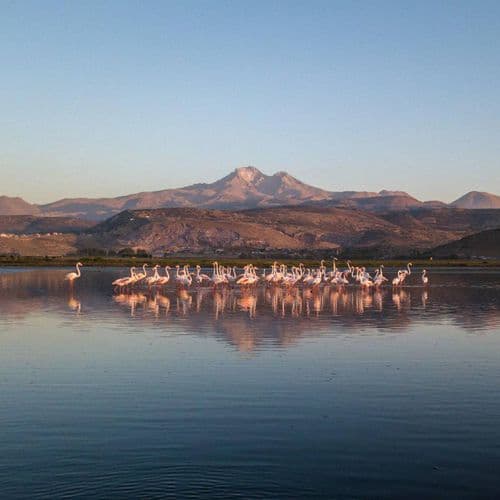 Parc National de Sultansazligi Kayseri